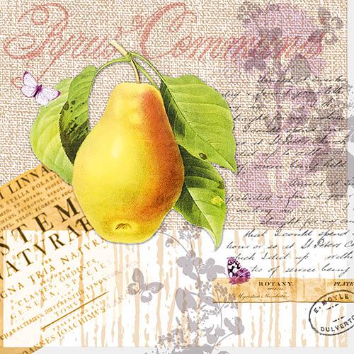 Пакет салфетки-NOUVEAU*** 33х33см - Botany Pear 
