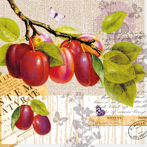 Пакет салфетки-NOUVEAU*** 33х33см - Botany Plum