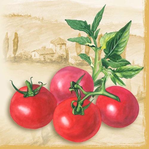 Салфетки NOUVEAU 33 см х 33 см - Tomatos terra