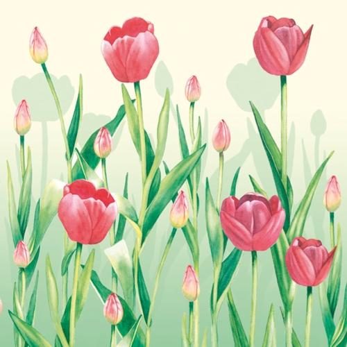 Салфетки NOUVEAU 33 см х 33 см - Tulips cream