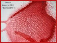 Mixed media перлена боя-спрей - Pearl Scarlet